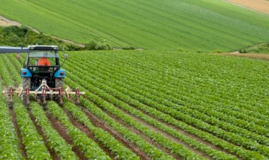 Tarım ve gıda için yeni yasa geliyor: Hobi bahçesine yasak, sahte gıdaya hapis