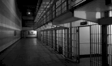 PROF. ADEM SÖZÜER : İŞLENECEK SUÇA BİLE AF GETİRİLİYOR