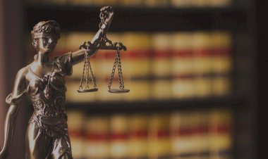 KISITLIDAN KARDEŞİNE BÖBREK NAKLİ İÇİN VASİ TARAFINDAN ALINAN OLUR KARARI-BOZMA