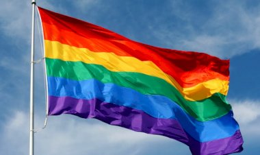 LEZBİYEN, GEY, TRAVESTİ VE TRANSSEKSÜLLERİN DAYANIŞMA DERNEĞİ KURMASI YASALDIR