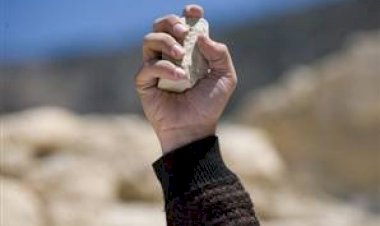 TAŞ İLE ADAM ÖLDÜRMEK CANAVARCA HİSLE KASTEN ÖLDÜRME SUÇUNU OLUŞTURUR