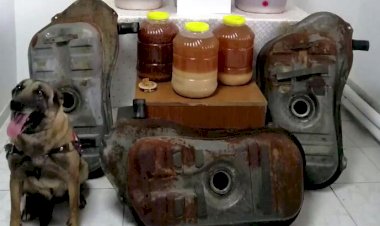 TIRIN TAŞIDIĞI OTOMOBİLLERDE REKOR MİKTARDA SIVI METAMFETAMİN ELE GEÇİRİLDİ!