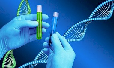 NÜFUS DAVALARINDA DNA TESTİ MASRAFLARI RESEN KARŞILANMALIDIR