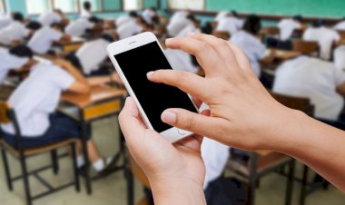 ÖĞRETMENİN GÖRÜŞME PROGRAMINDA CİNSEL İÇERİKLİ GÖRÜNTÜLERİNİ GÖNDERMESİ DİSİPLİN SUÇUNU OLUŞTURMAZ