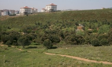Unutturulan Bir Çare: Devletleştirme - 1