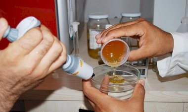 TAĞŞİŞ YAPANA TİCARETTEN MEN