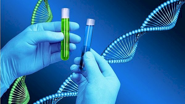 NÜFUS DAVALARINDA DNA TESTİ MASRAFLARI RESEN KARŞILANMALIDIR