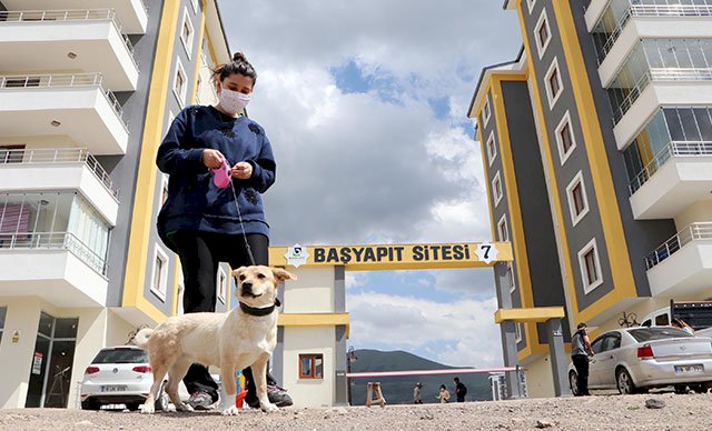 KÖPEKLERİ İÇİN SİTEDEKİLERLE MAHKEMELİK OLDULAR!