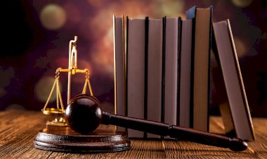 DAVALI İDAREDEN KAYNAKLI TAZMİNATIN GEÇ ÖDENMESİNDEN DOĞAN ZARARDAN İDARE SORUMLUDUR