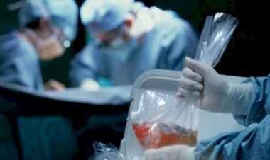 ORGAN NAKLİNDE REFAKAT İZNİ KULLANILIR MI?