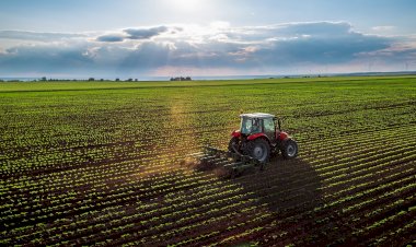 UZUN SÜRE TAŞINMAZI KULLANANA SES ÇIKARMAYAN MALİK ECRİMİSİL  TALEP EDEMEZ