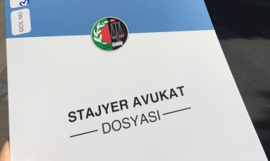 STAJYER AVUKATIN KENDİSİNDEN ISRARLA DOSYA ATMASINI İSTEYEN İCRA MEMURUNA "LÜTFEN TERBİYESİZLİK YAPMAYIN" BEYANI HAKARET SUÇUNU OLUŞTURMAZ