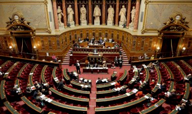 FRANSA'DA 15 YAŞ ALTI KİŞİYLE CİNSEL İLİŞKİ TECAVÜZ SAYILACAK, YASAYA İNTERNET SOHBETLERİ DAHİL