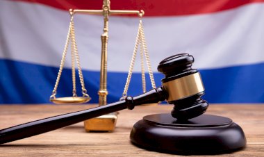 HOLLANDA'DA MAHKEME SÖZLÜ CİNSEL TACİZİ TAZMİNATSIZ İŞTEN ÇIKARMA NEDENİ SAYDI