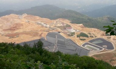 MAHKEME ‘AĞAÇLARI KESEMEZSİNİZ’ DEDİ