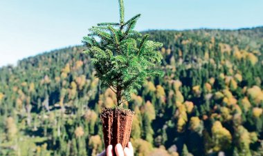 UZLAŞILAN HER DOSYAYA BİR FİDAN!