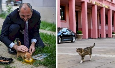 ADALET BAKANI GÜL, 'GERİ SAYIM BAŞLADI' MESAJIYLA DUYURDU!