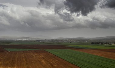 AMİK OVASI İCRADAN SATILIK!