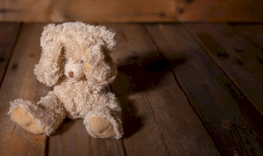 CİNSEL İSTİSMAR İDDİASIYLA YARGILANAN ÖĞRETMENE BERAAT: 'İNANDIRICI DELİL ELDE EDİLEMEDİ'