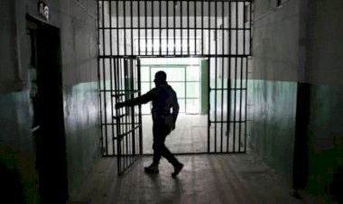 'ÖRTÜLÜ AF' NİTELİĞİ TAŞIYABİLİR ENDİŞESİ