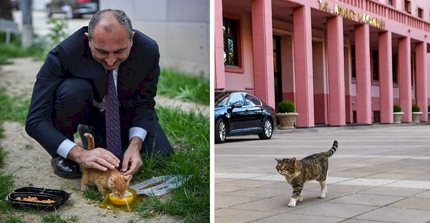 ADALET BAKANI GÜL, 'GERİ SAYIM BAŞLADI' MESAJIYLA DUYURDU!