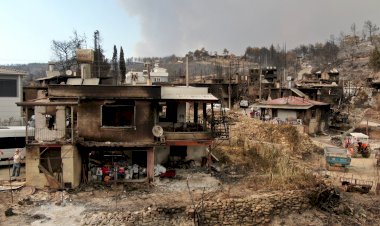 ORMAN YANGINLARI SİGORTA KAPSAMINDA MI?