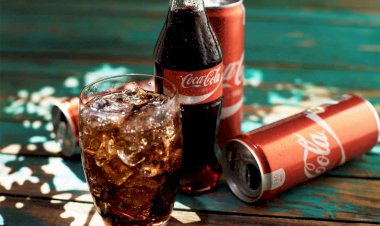 DANIŞTAY'DAN COCA-COLA KARARI: ARAŞTIRILSIN