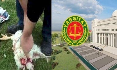 TAVUK KANI SÜRÜP 'KOCAMI ÖLDÜRTTÜNÜZ' DİYEN KADINI YARGITAY AFFETMEDİ