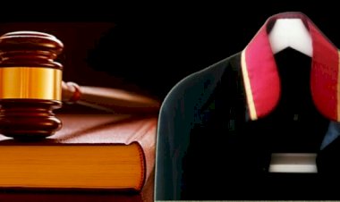 AVUKATIN GEREKLİ ÖZENİ GÖSTERMEYEREK MÜVEKKİLİNİN ZARARA UĞRAMASINA SEBEP OLMASI - ÖZEL ZAMANAŞIMI DEĞİL CEZA ZAMANAŞIMI UYGULANMASI GEREKTİĞİ
