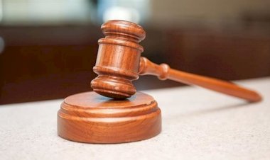 YARGITAY'DAN EMSAL NAFAKA KARARI