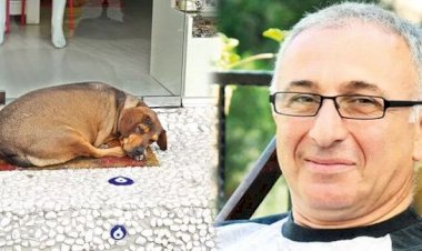 BİR GARİP TAZMİNAT DAVASI