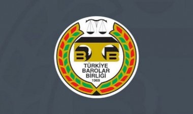 TBB'DEN YETKİLİLERE ÇAĞRI: HAYVAN KATLİAMI DURDURULSUN, YASAYA UYULSUN!