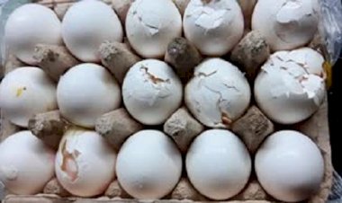 'BOZUK YUMURTA' DAVASINDA MARKET SAHİBİNE PARA CEZASI