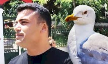 'MARTININ KAPTIĞI KULAK' DAVASINDA KARAR